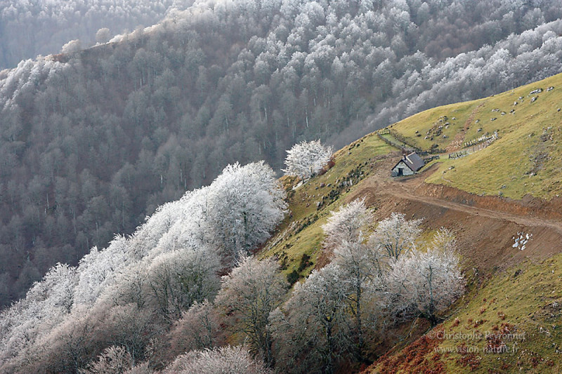 Ambiance autour du Massif d’Irati, Pays Basque