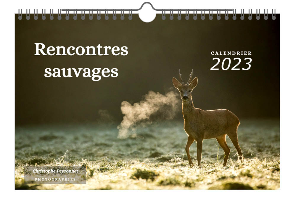 Calendrier 2023 sur les animaux sauvages de France