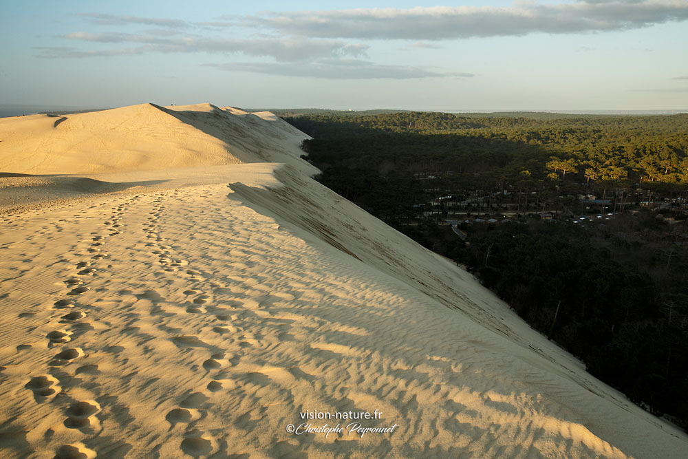 Dune du Pilat – Village du Pyla