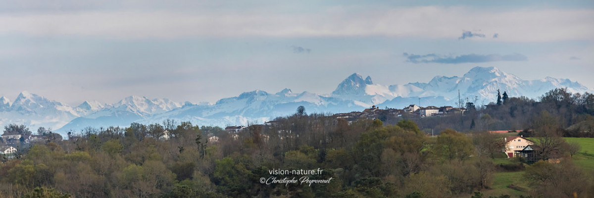 Les Pyrénées depuis la Chalosse en hiver