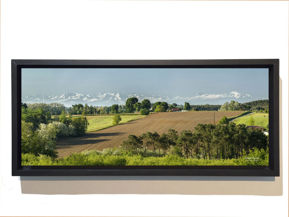 Vue sur les Pyrénées depuis la Chalosse - Landes