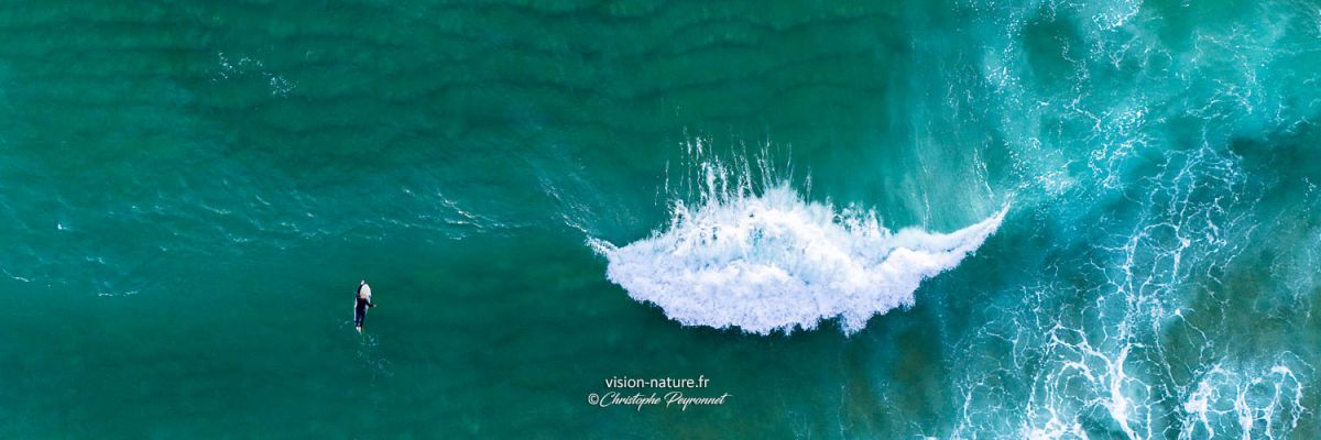 Plage et vagues des Landes