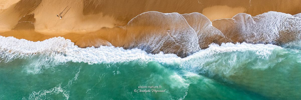Plage et vagues des Landes