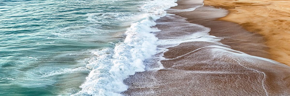 Plage et vagues des Landes
