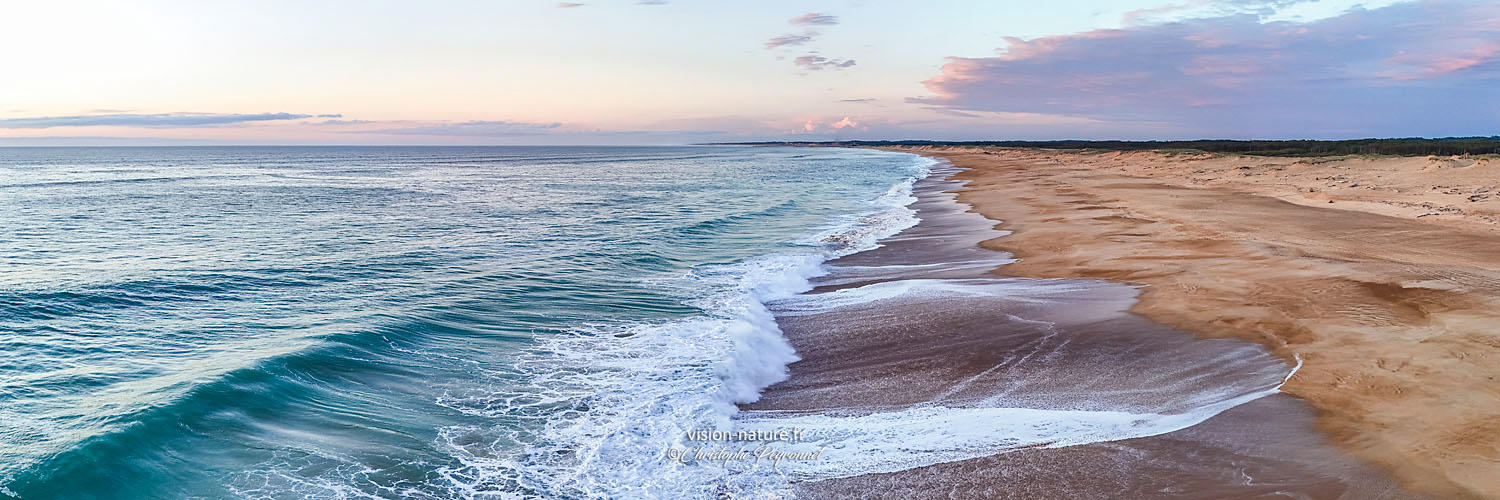Plage et vagues des Landes